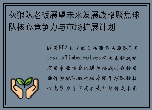 灰狼队老板展望未来发展战略聚焦球队核心竞争力与市场扩展计划